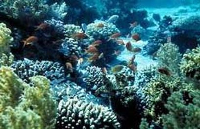 eilat_wa.jpg